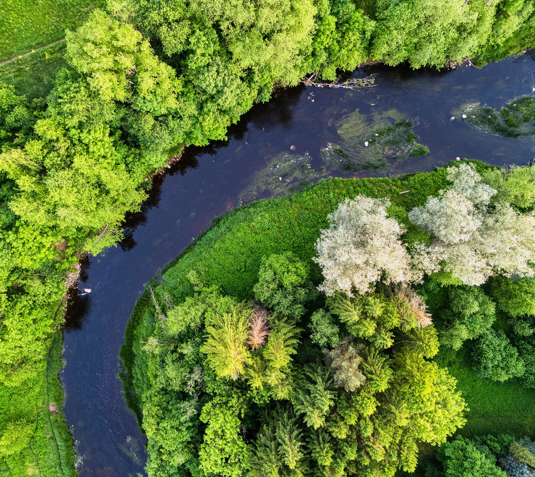 Cours d’eau vu du ciel